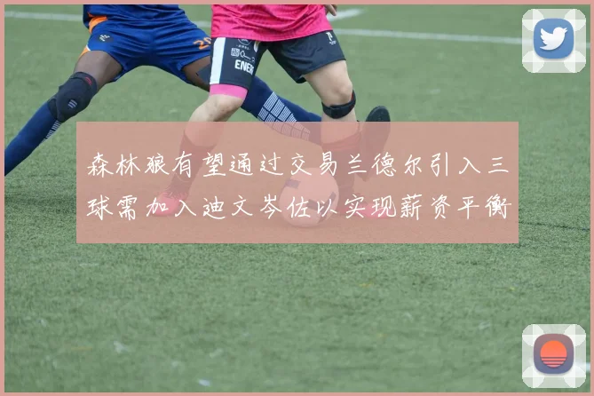 森林狼有望通过交易兰德尔引入三球需加入迪文岑佐以实现薪资平衡