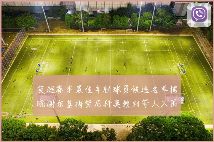 英超赛季最佳年轻球员候选名单揭晓谢尔基梅努尼科奥赖利等人入围