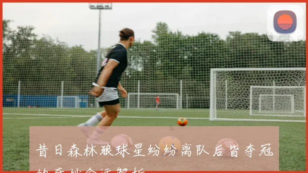 昔日森林狼球星纷纷离队后皆夺冠的奇妙命运解析